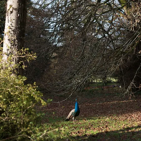 Bed & Breakfast Lough Bawn House 3*